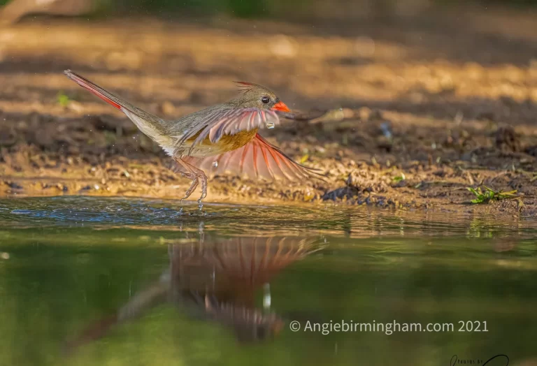 5949DB67-B430-457F-9949-99E3AA8982C6