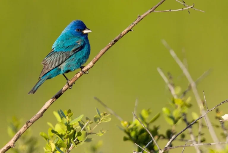 5D5A197C-FED1-475A-96AC-882538A8F55F