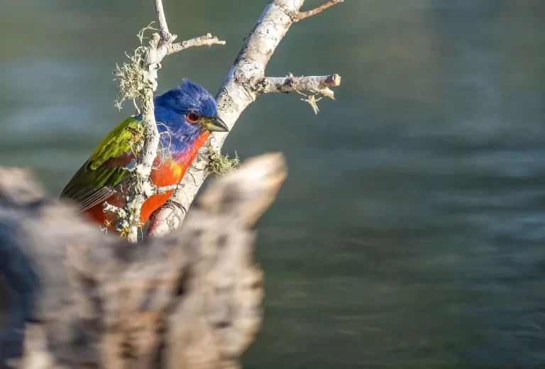 6665506B-CCA3-4887-9F1E-4186BC71016C