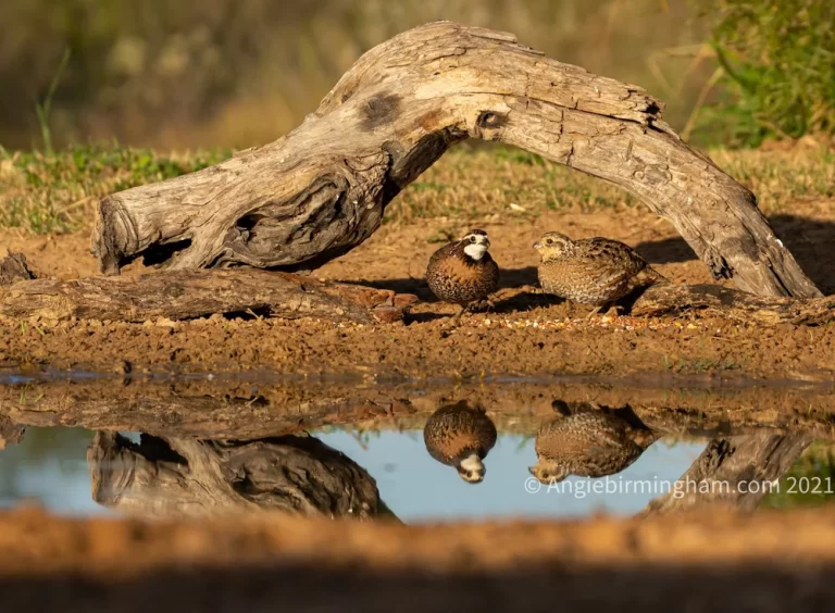 778BD3B7-766C-4CE1-AFDF-8E29CD0F2634