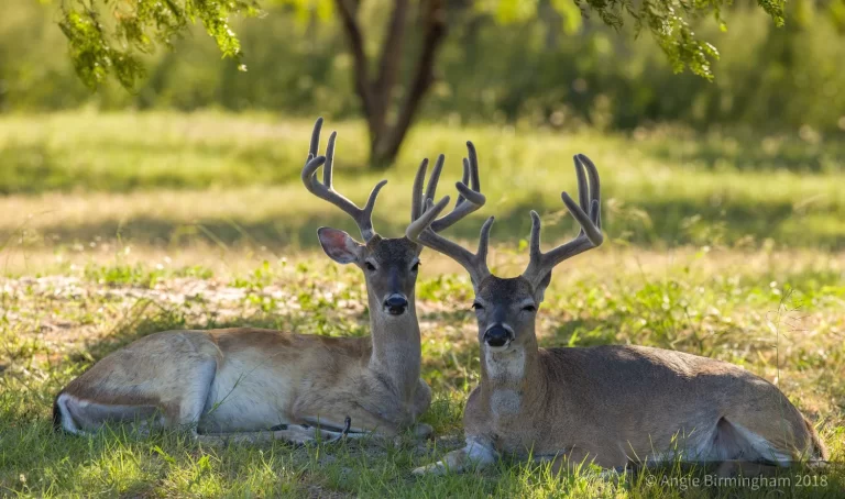 8AE70508-0096-41E5-9DD3-D5685C014AD2