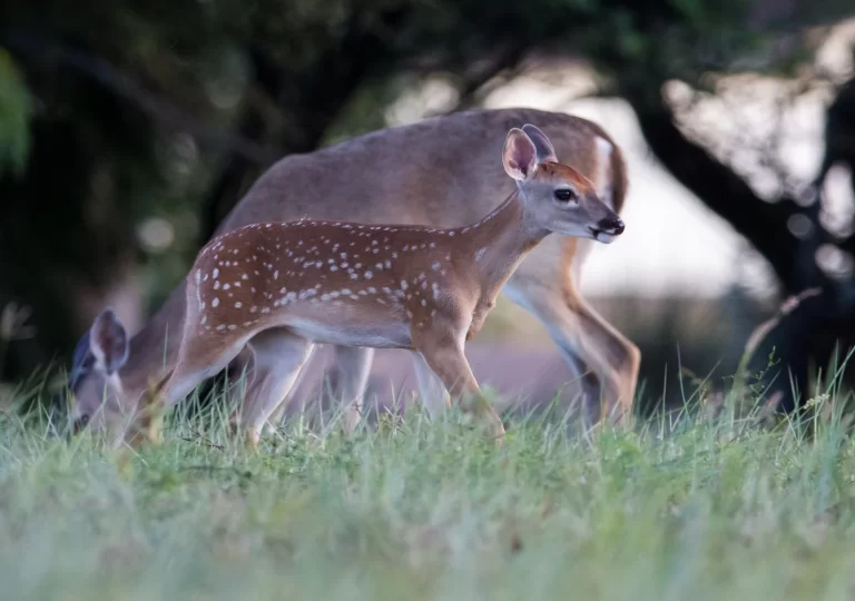 97E9A963-A61C-4795-B1A4-78B0943E3130