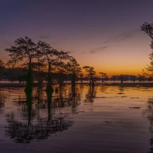 Fall Caddo Lake Photography Workshop Nov 11-15 2027