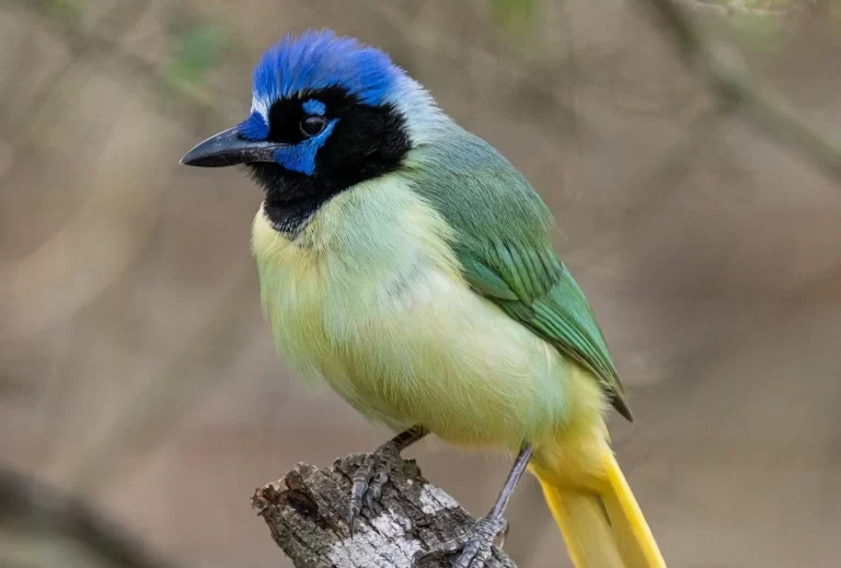 B5ED1EBB-2FFB-4F79-8291-22542C6B277C