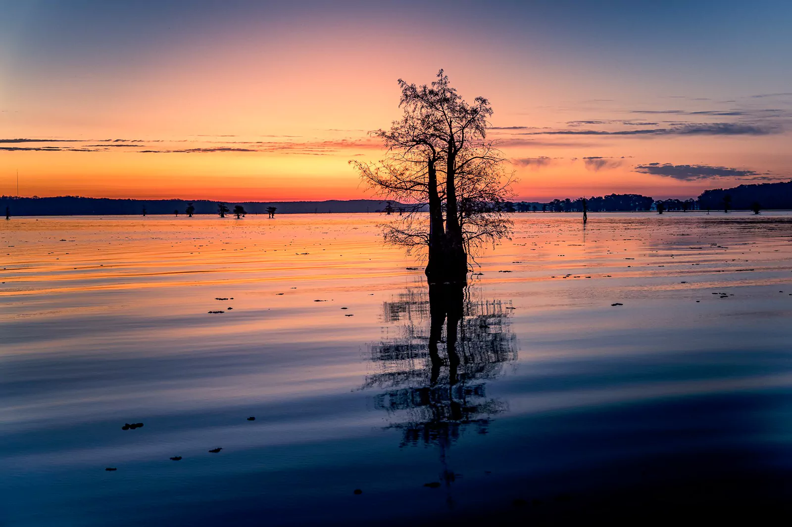 All-Inclusive Fall Caddo Lake 2025 Photo Workshop