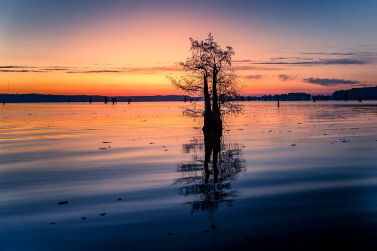 Caddo+fall+FB-Caddo+lake+00000010