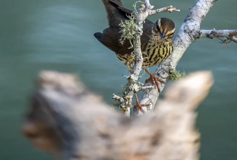 D127B704-23E6-4AD0-8C5B-9809F10EACC3