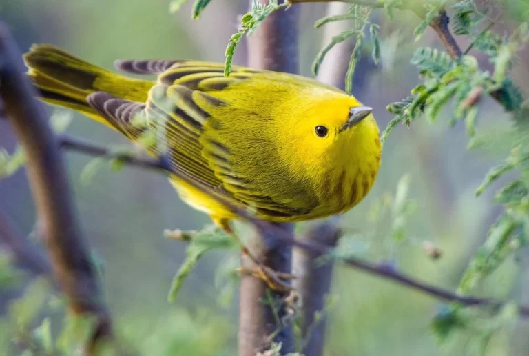 EB1306F7-CBA6-44A5-90A6-59A1756A1C44