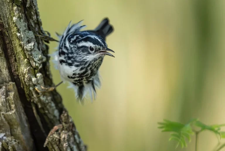 EDC2F671-917A-464C-9EC3-4FCED1F1A5BC