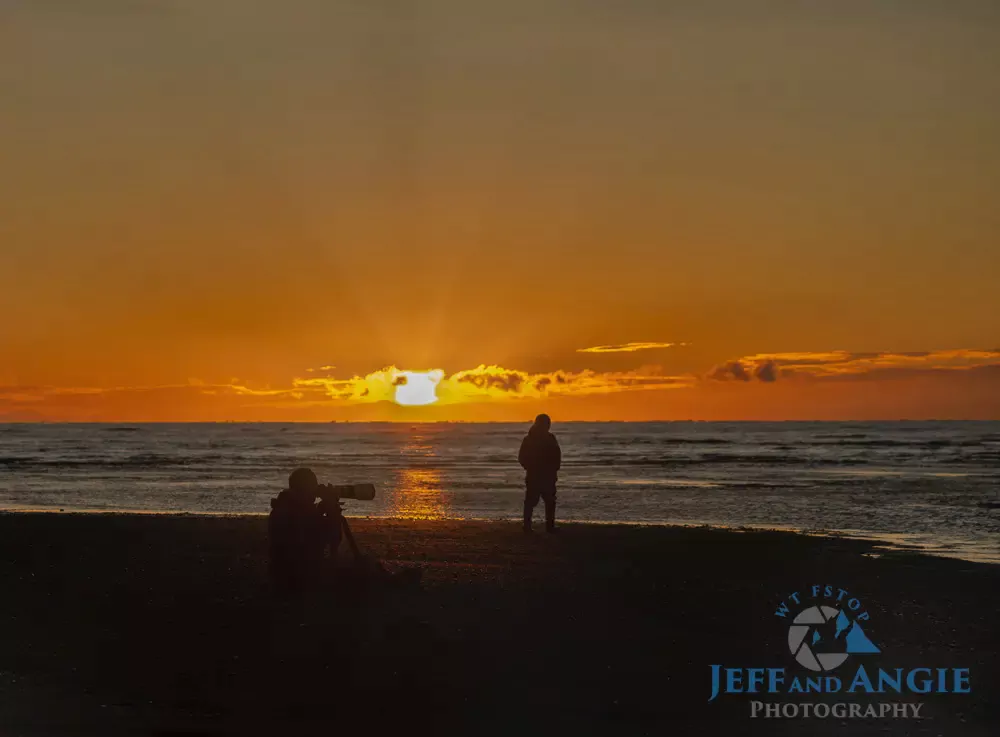 Can I Use Nature Photography for Greeting Cards?