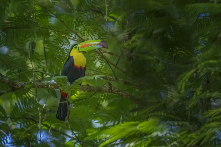 untitled-21315-2 (1)