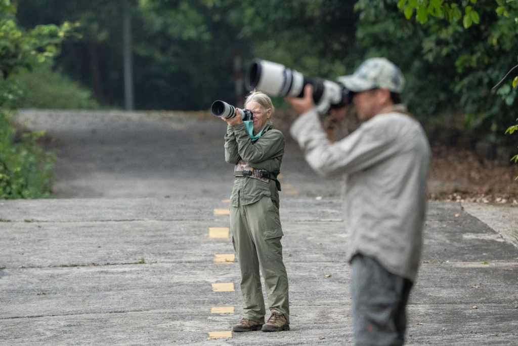 Two wildlife photographers using long telephoto lenses to photograph nature in a forested area